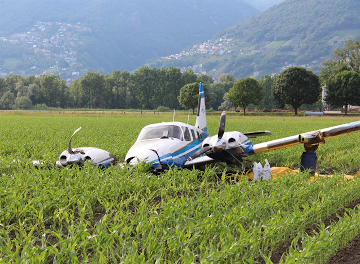 Avifauna e disturbo aereo