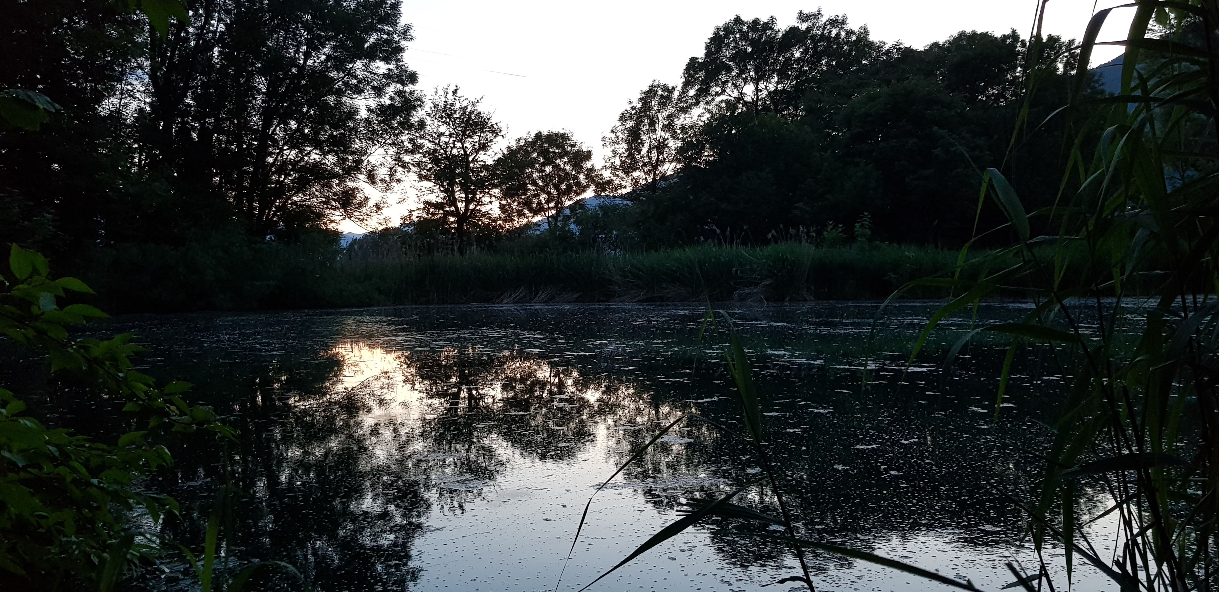 Festival della natura 2023